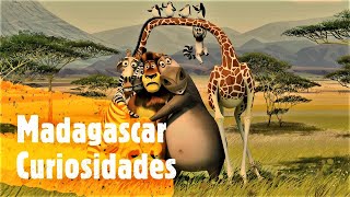Las 8 Curiosidades De Madagascar