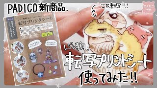 レジンで転写！？パジコ新作