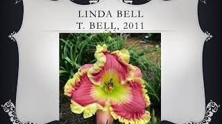 Wiregrass Daylily Auction