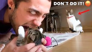 Funniest Animals - Best Of The 2021 Funny Animal Videos #81