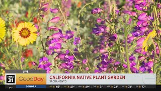 Native Garden Tour, 7am