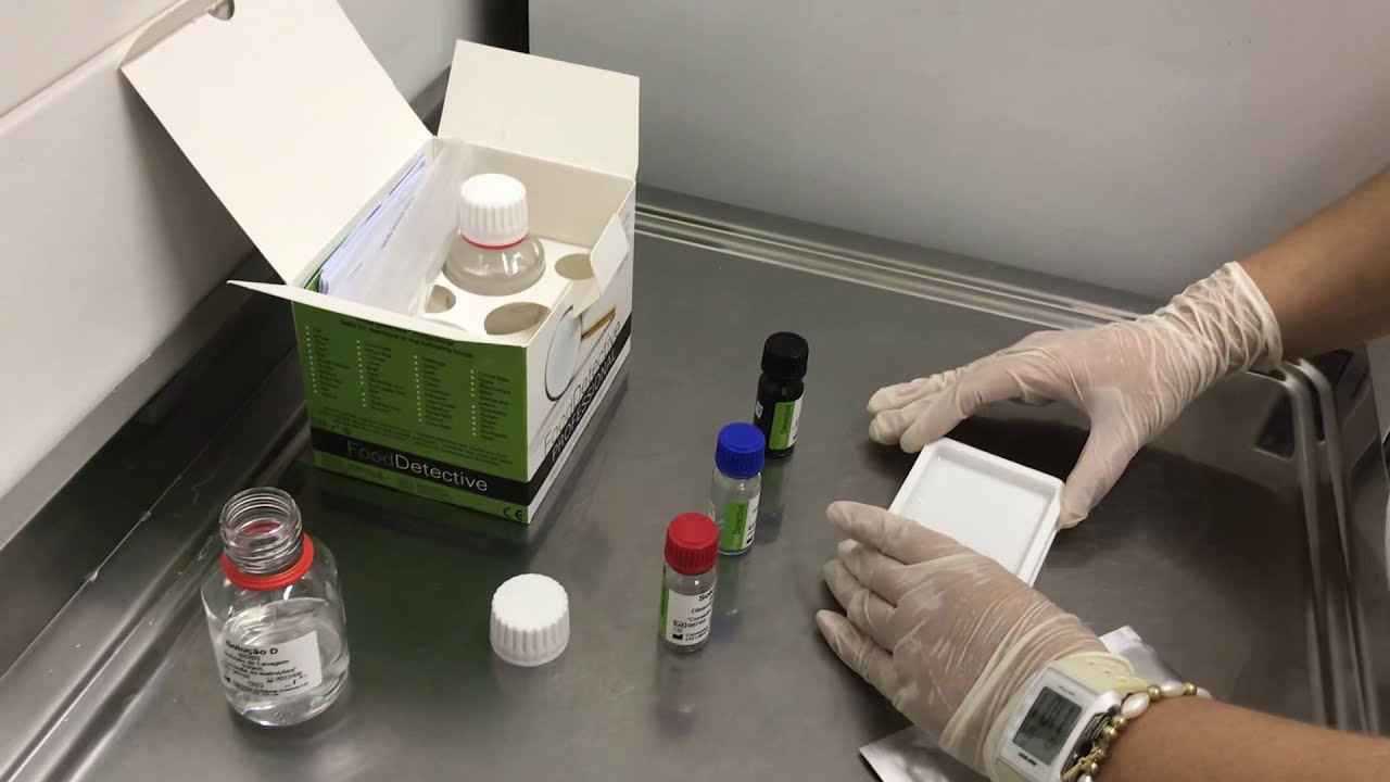 Teste de Intolerância Alimentar - Fase 3 - YouTube