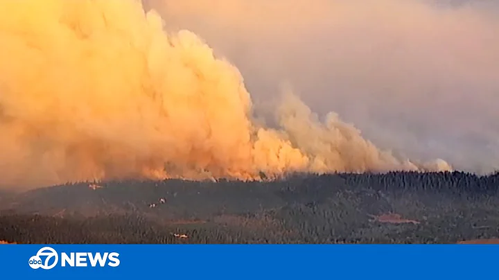 Tips for purchasing the best air purifier to filter wildfire smoke