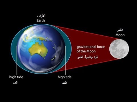 فيديو: أين الجاذبية بين الأرض والقمر؟