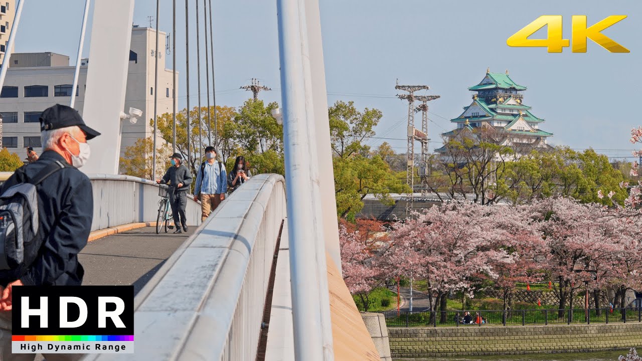 4K HDR // Osaka Sakura River Walk