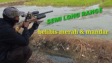 berburu belibis merah & mandar semi long range@rizkyhunting