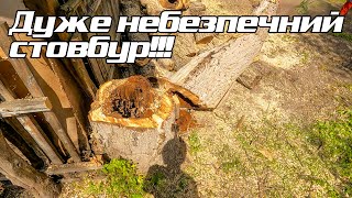 Download Lagu Невеличкий горіх з довгою гілкою MP3 Download Lagu Невеличкий горіх з довгою гілкою MP3