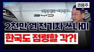 테슬라 씹어먹은 중국 BYD 한국까지 점령할 각?!