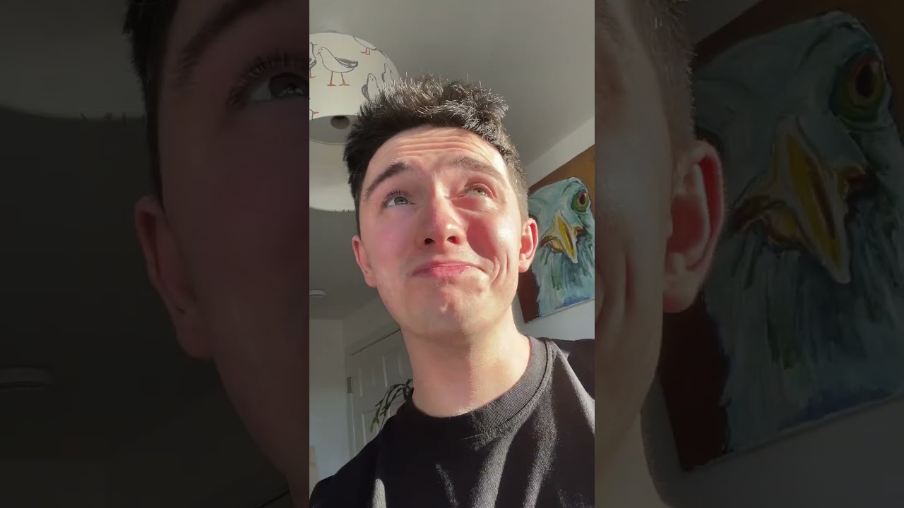 My Pet Seagull Gave Me An Egg...