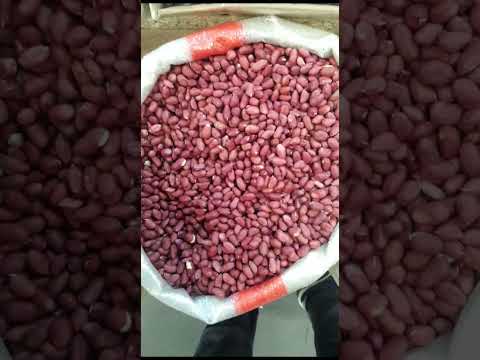 Арахис сырой Узбекистан
