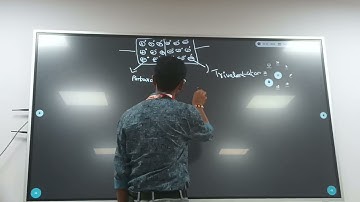 PN junction diode (TTL)