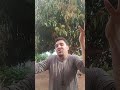 olha o carro