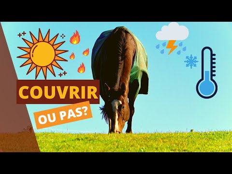 Vidéo: Pour couvrir ou ne pas couvrir votre cheval en hiver?