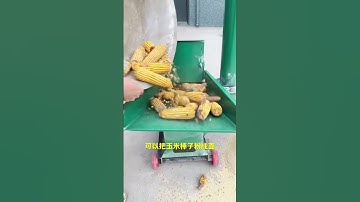 Animal Feed Processing Machine Milling Machine Corn Crusher Grinder#animalfeed #grinder #hammermill