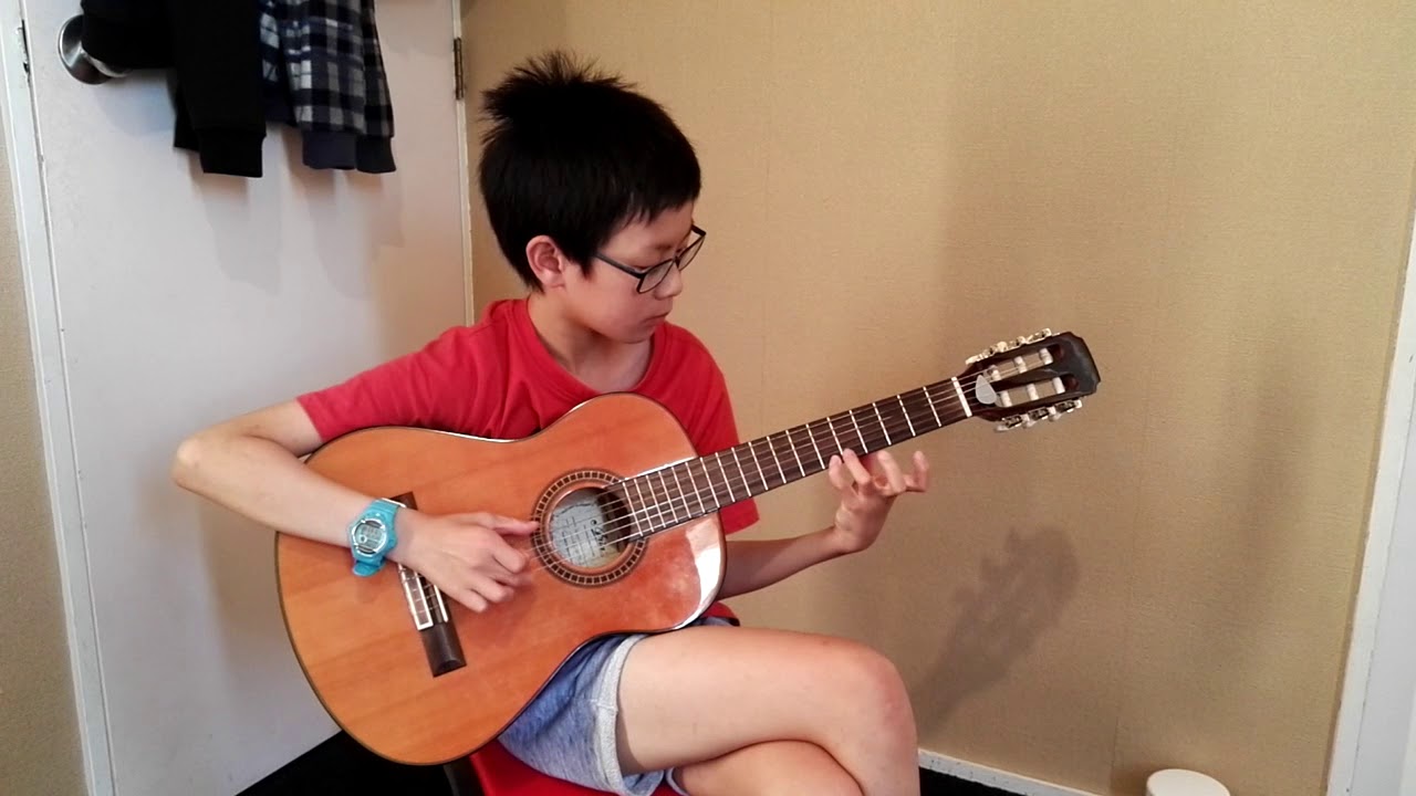 (Movie Theme) Pirates Of The Caribbean, Guitar: Aria AK-20 1/2 N