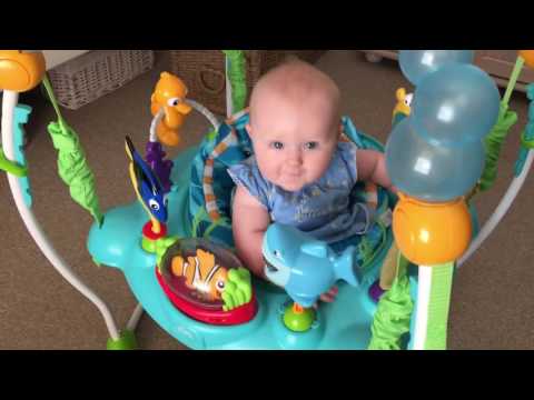 finding dory exersaucer