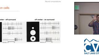 Celebrity CVPR18: Tutorial: Part 1: A Crash Course on Human Vision Profile