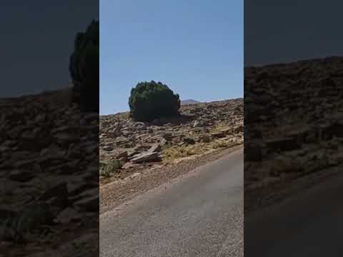 حاول گيخميمن عفاش أيولينو على طريق انرگي تكلفت بأزيلال