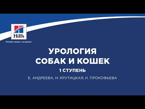 Вебинар на тему: «Урология собак и кошек. 1 ступень».