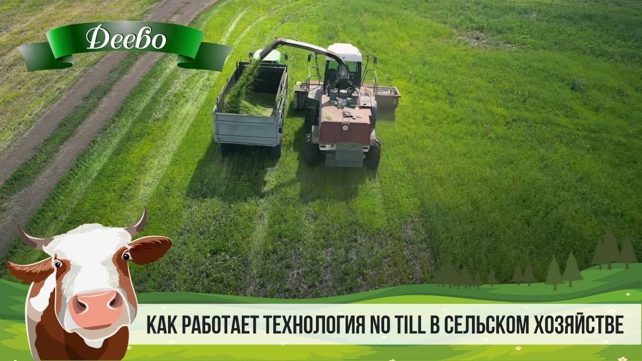 Как работает технология No till в сельском хозяйстве.