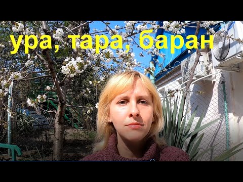 Автоматизация звука Р/ Убираем паузу, работаем над слитностью/ Урок 2/ Методика