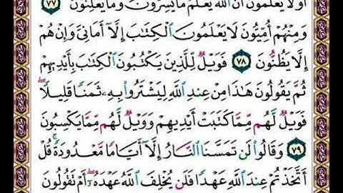 صفحة( ١٢ ) القرآن الكريم سورة البقرة الشيخ محمد صديق المنشاوي