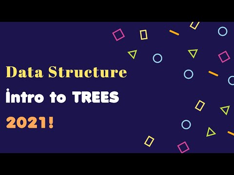 Tree in Data structure with examples (Binary Tree, Almost complete BT, Full BT, Complete BT, BST)