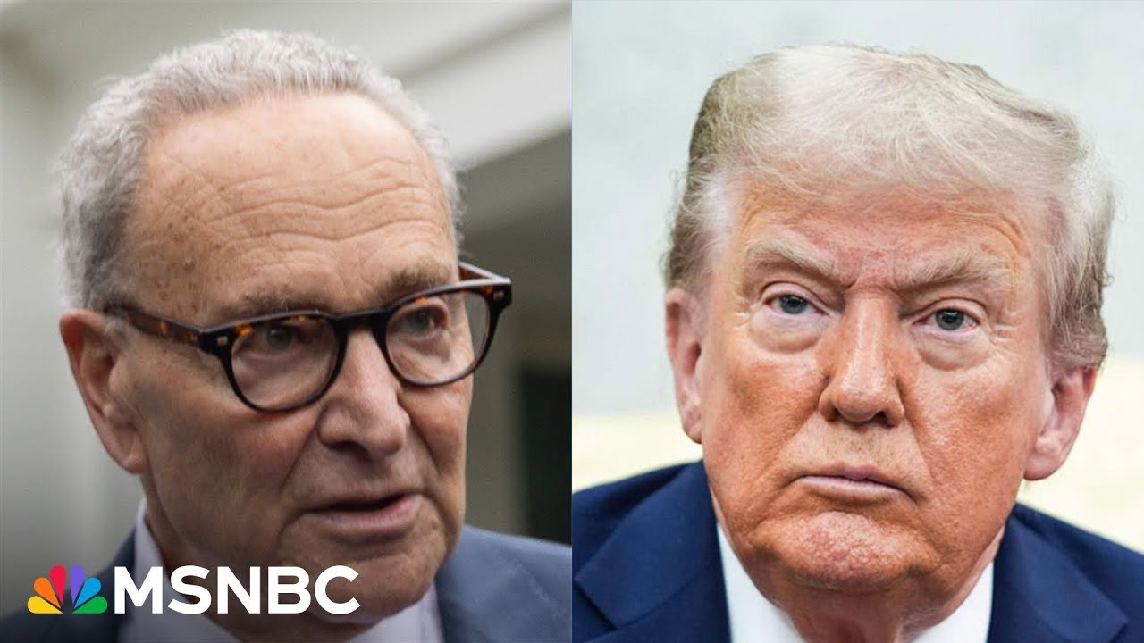 Americans know Democrats aren't firing people: The buck stops with the president, says Sen. Schumer