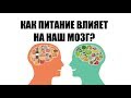 Как питание влияет на наш мозг?