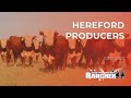 Hereford Producers | The American Rancher