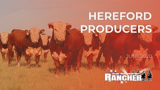 Hereford Producers | The American Rancher