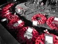 St Albans Remembrance Service 11-11-12.