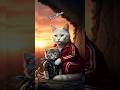 Emotional Cat Story | A Mother’s Love That Never Gives Up #shorts