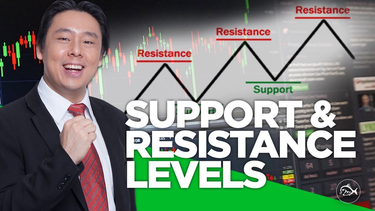 identifying support amp resistance levels in stock trading skip the dishes stock chart