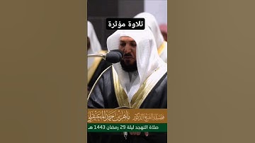 تلاوة خاشعه ومؤثرة للشيخ #ماهرالمعيقلي #قرآن #quran #قران #اكسبلور #ماهر_المعيقلي #راحة_نفسية