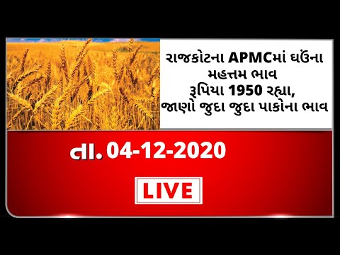 ગુજરાતની બધી જ APMCના તા.04-12--2020 દરેક પાકના ભાવ । TV9 NEWS