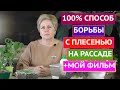 ВРАГ РАССАДЫ! ПЛЕСЕНЬ НА РАССАДЕ МОЖЕТ БЫТЬ ОЧЕНЬ ОПАСНА!