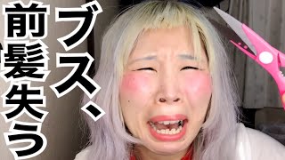 ゆっチャンネル Youtube Stats Analytics Dashboard Influenex
