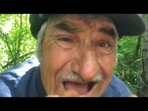 ბორჯომის ხეობა 2020