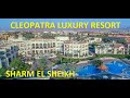 Обзор Cleopatra Luxury Resort Sharm El Sheikh - 2021 год