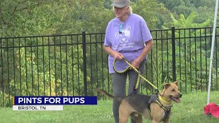 Sullivan County Animal Shelter, Tennessee Hills collaborate for adoption event