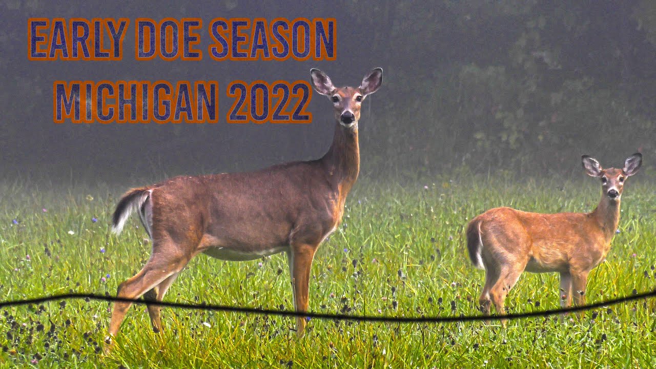 Deer Hunting Michigan Early Doe Season 2022 YouTube