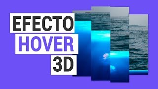 Efecto hover 3d para imagen en HTML y CSS