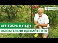 ВАЖНЫЕ САДОВЫЕ РАБОТЫ В СЕНТЯБРЕ! Советы опытного садовода.