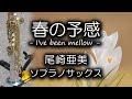 春の予感 ~ I&#39;ve been mellow~【尾崎亜美】ソプラノサックス・カバー