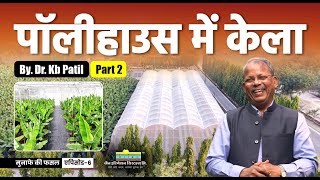 कल क खत पलहउस म कय ह जयद फयदमद? लगत, उतपदन और मनफ Munafe Ki Fasal