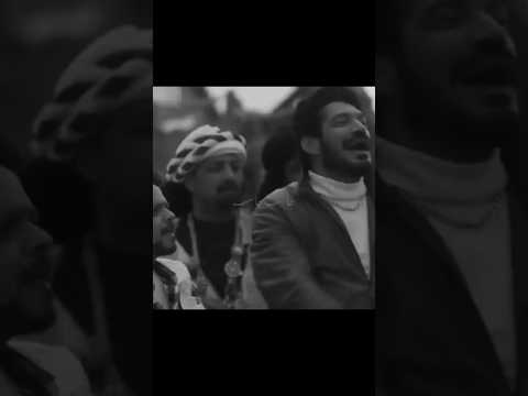 بتندب مين يا روح امك احمد موزه حالات واتس باسم سمرة