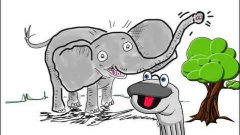 Elephant Song - What a Nose - Elephant Song