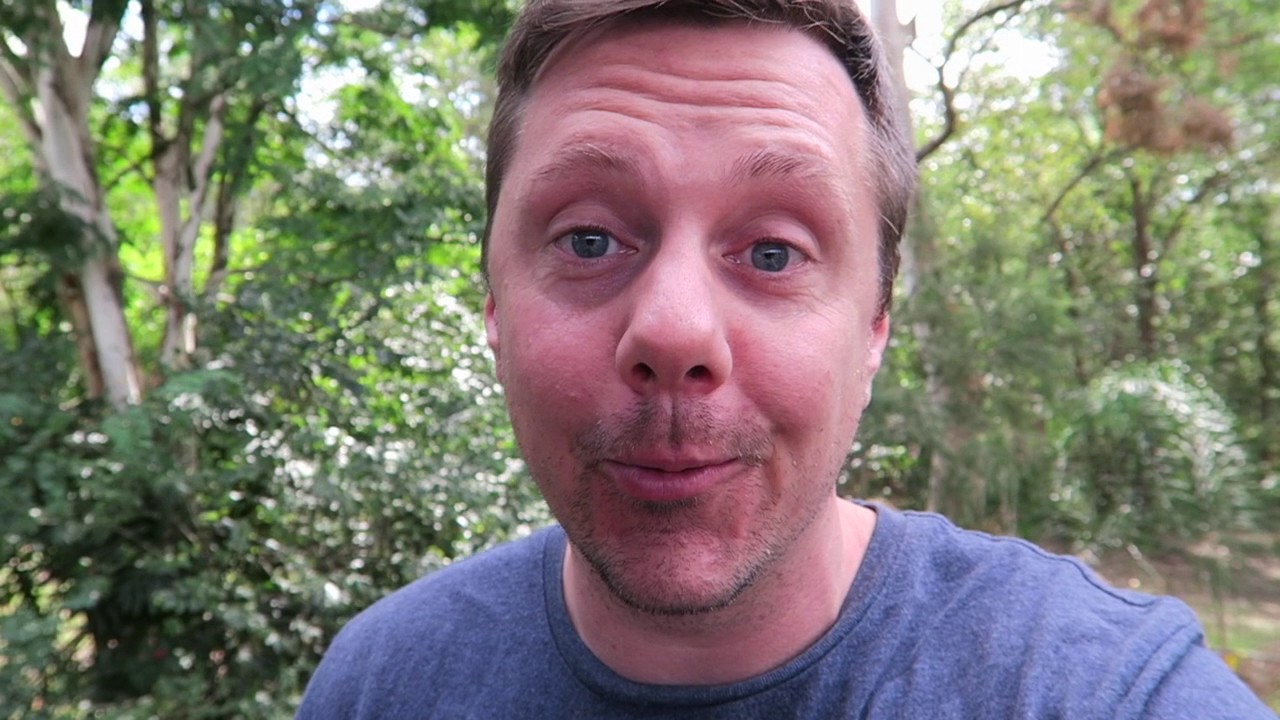 Diatomaceous Earth for Heartworm Prevention? YouTube