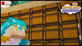 Relaxing and Organizing our Storage on Skyblock Kingdoms